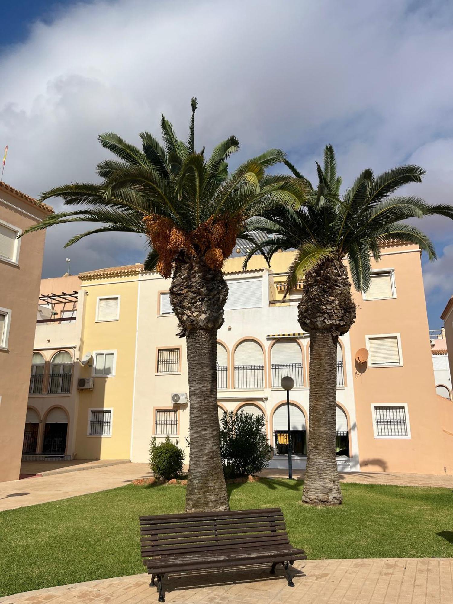 Torrevieja 2 Bedrooms Appartment Extérieur photo