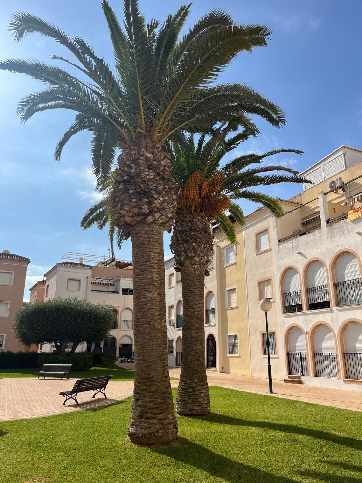 Torrevieja 2 Bedrooms Appartment Extérieur photo